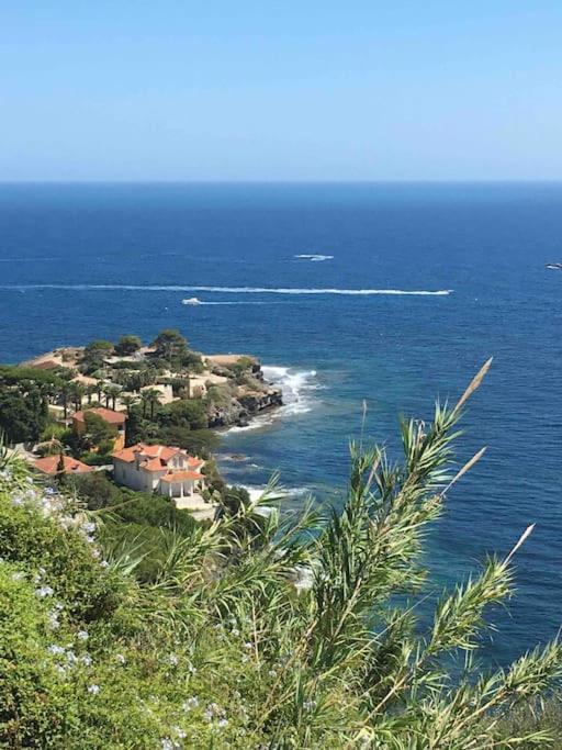 Vue Mer Incroyable Aux Portes De Monaco Cap-d'Ail Bagian luar foto